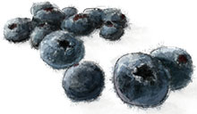 Blueberries illustration for flag cake recipe Blueberries illustration for flag cake recipe