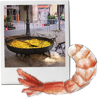 Paella photo and shrimp illustration for paella recipe