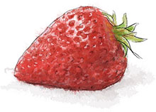 Strawberry illustration for valentines sangria recipe