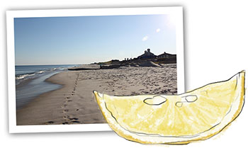 Hamptons Beach Recipe illustration of a lemon and Southampton beach