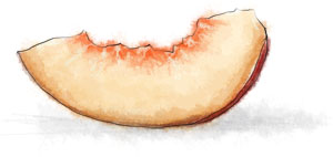 food illustration of a peach slice for brunch buttermilk pancake recipe