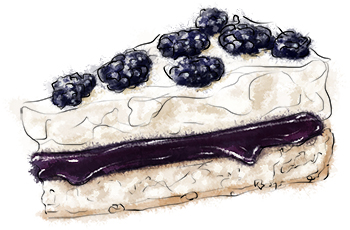 Blueberry pavlova illustration for recipe