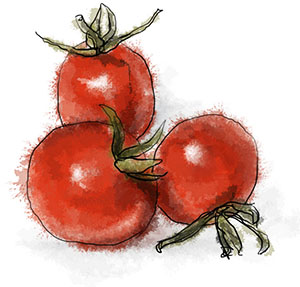 Cherry tomato illustration for summer basil pasta recipe