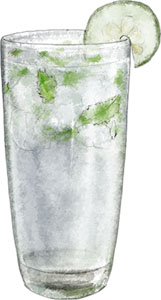 Gin Fizz illustration for labor day cocktail recipes