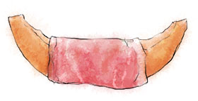 Melon in prosciutto illustration for canape recipe