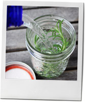 Rosemary Vodka recipe