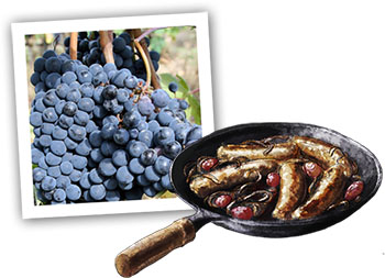 Chianti Grapes And Sausages illustration for recipe