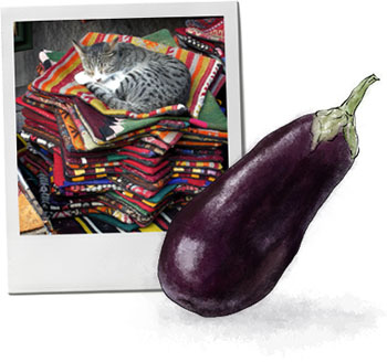 Eggplant illustration And An Istanbul Cat for Imam Bayaldi recipe