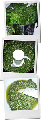 Pesto photos for chiant and antipasto recipes