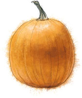 pumpkin illustration for halloween cocktail recipes