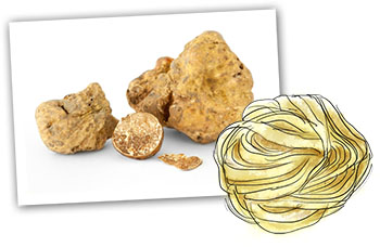 tagliatelle and truffle illustration for home made truffle pasta recipe
