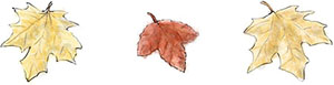 Leaves for Thanksgiving side dish recipes Leaves for Thanksgiving side dish recipes