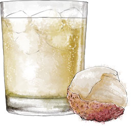 Lychee fizz illustration for sneak like a ninja cocktail recipe