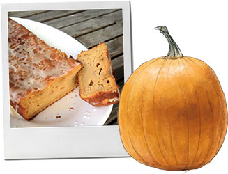 Pumpkin cake photo and pumpkin illustration for recipe