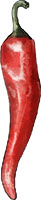 red chili illustration for spicy asian salmon recipe