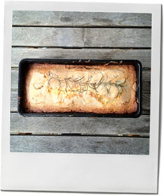Rosemary Apple Cake Photo for autumn cake recipe