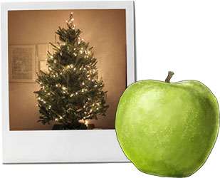 Christmas Tree And Pork With Apple Cider recipe