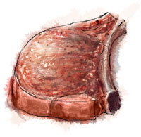 Pork Chop illustration for pork chop recipe Pork Chop illustration for pork chop recipe