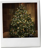 Christmas Tree for Christmas Hot Chocolate Recipe Christmas Tree for Christmas Hot Chocolate Recipe