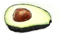 Avocado illustration for superbowl guacomole recipe