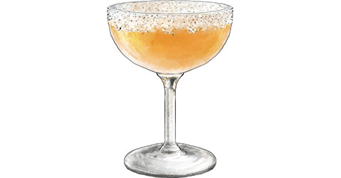 Sidecar cocktail illustration for cocktail recipe