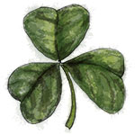 Shamrock illustration for St Patricks Day recipe Shamrock illustration for St Patricks Day recipe