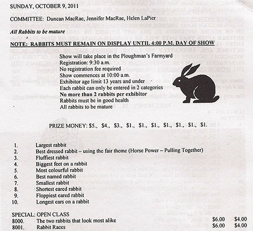 Rabbit contest for county fair