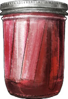 Pickled Rhubarb Illustration for recipe