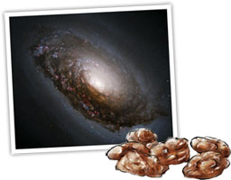 Roasted Walnuts And Galaxies