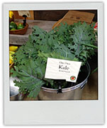 Kale photo for easy peach vinegar recipe