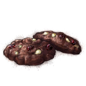 Chocolate Cranberry Cookies