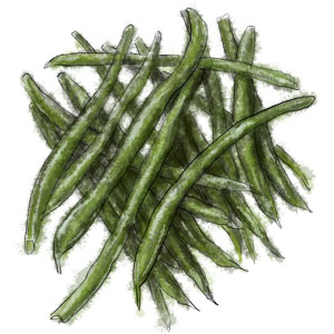 Green Beans