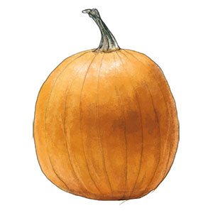 Pumpkin