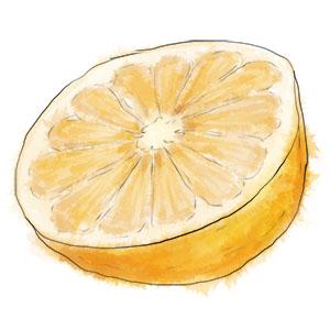 Grapefruit for football fan cocktail illustration
