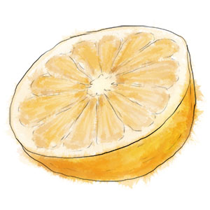 Grapefruit for football fan cocktail illustration