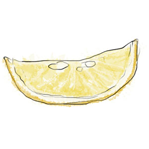 Lemon Slice