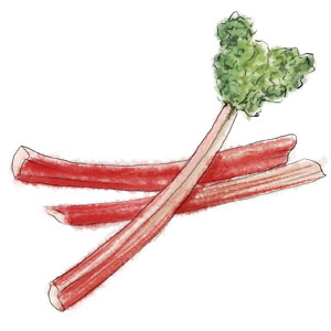 Rhubarb