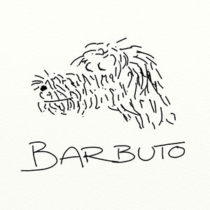 restaurant review of barbuto