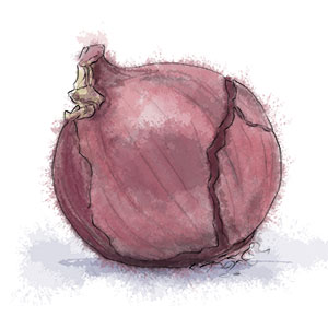 Red Onion