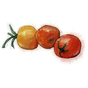 Cherry Tomatos