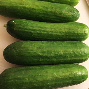 cucumbers for pickling